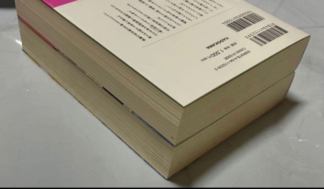 212(BL小説) 小綱 実波　作品　9冊