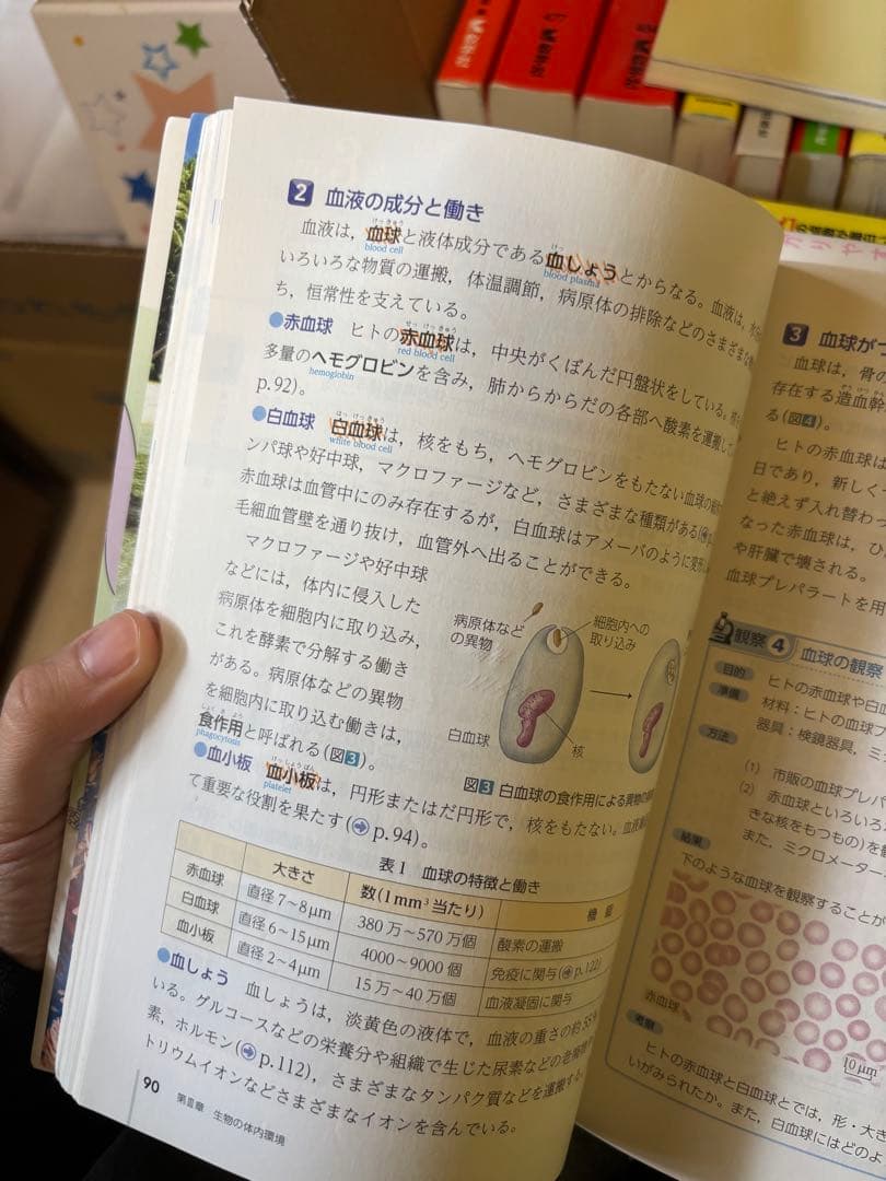 全28冊　現代文/古典/生物/日本史/過去問/教科書3冊