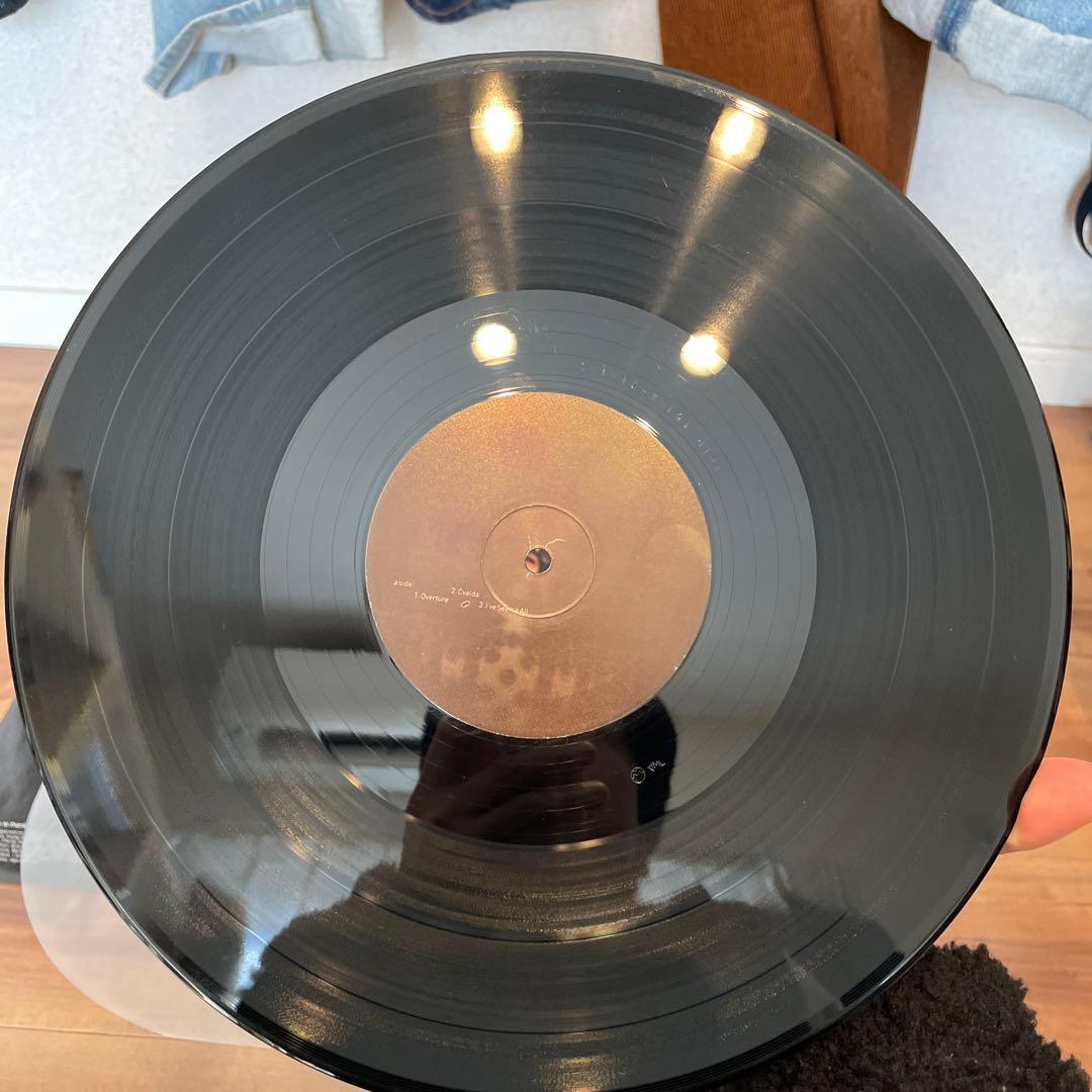 UKオリジナル盤！Björk Selmasongs LP ビョーク レコード