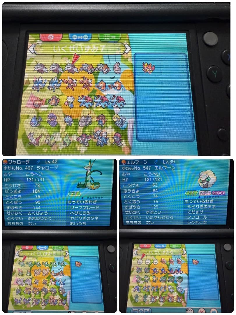 ポケモンアルファサファイアソフト配布 250 体以上育成済み 200体以上