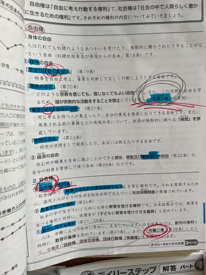 サピックス 6年生 社会テキスト 1年分 最新 2026年受験 桜蔭