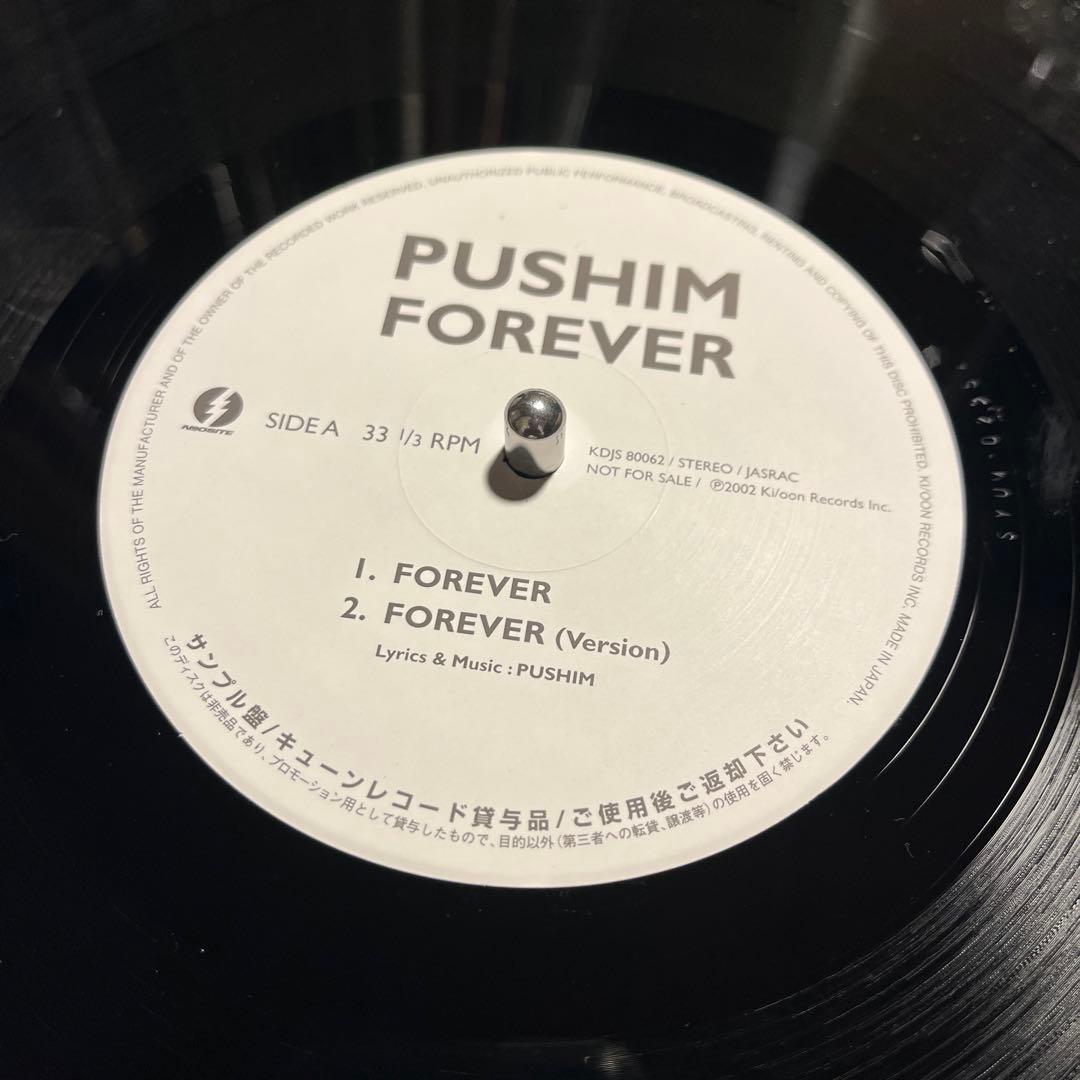 Pushim / Forever サンプル盤　希少 10インチ