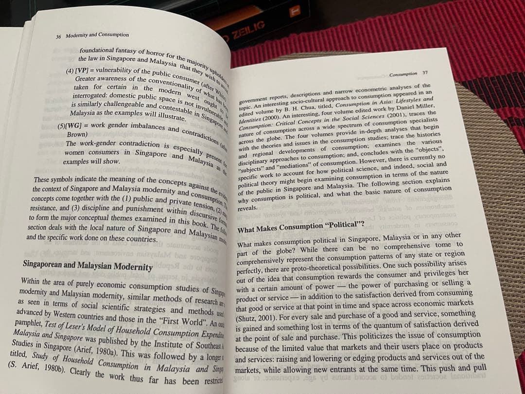 洋書 Modernity & Consumption Antonio L. Rappa