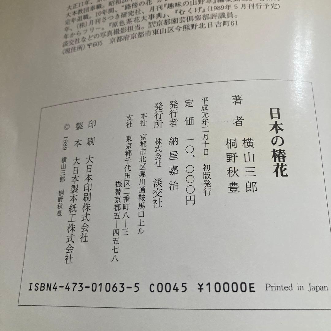日本の椿花