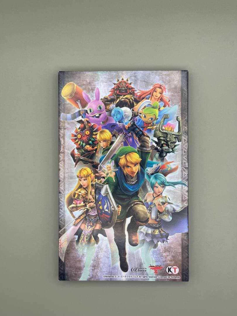 Switch ゼルダ無双 ハイラルオールスターズDX 特製スリーブケース付
