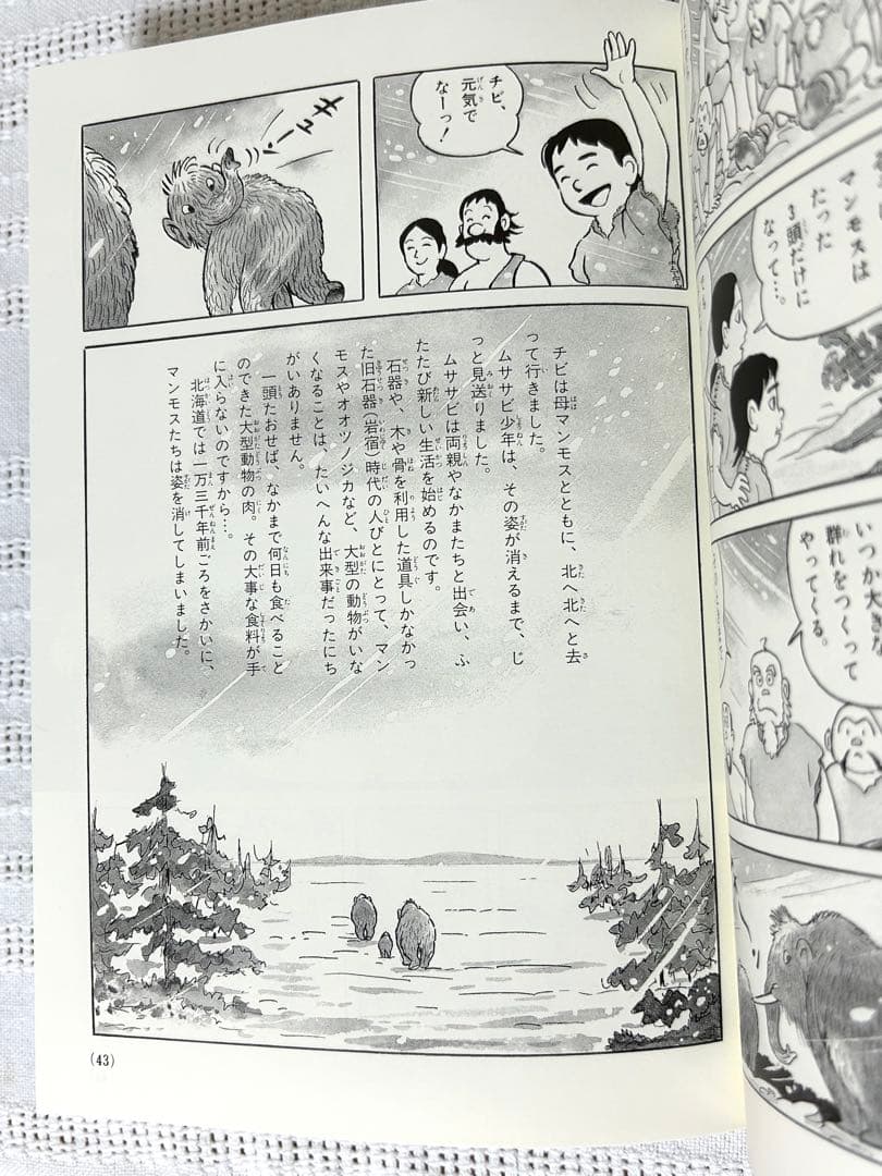 【最終お値下げ】美品　日本の歴史 23冊全巻セット　学習まんが　歴史年表・箱付き