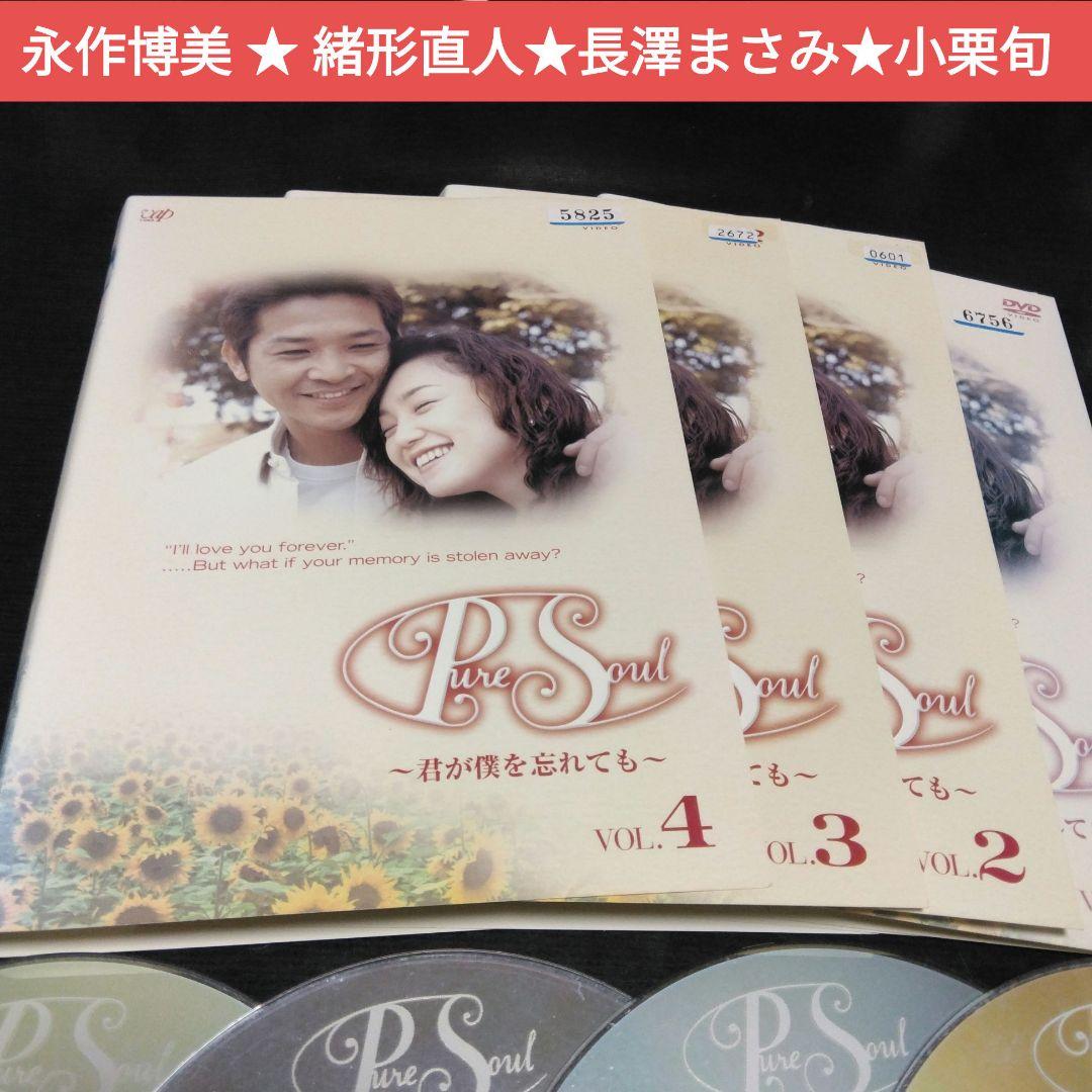 日本ドラマ　PureSoul君が僕を忘れても　DVD全巻 永作博美　レンタル落ち