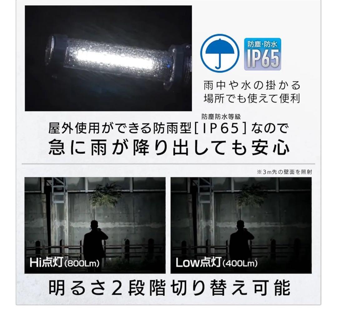 HATAYA 充電式 LED ジョーハンドランプ LW-10N 屋外用