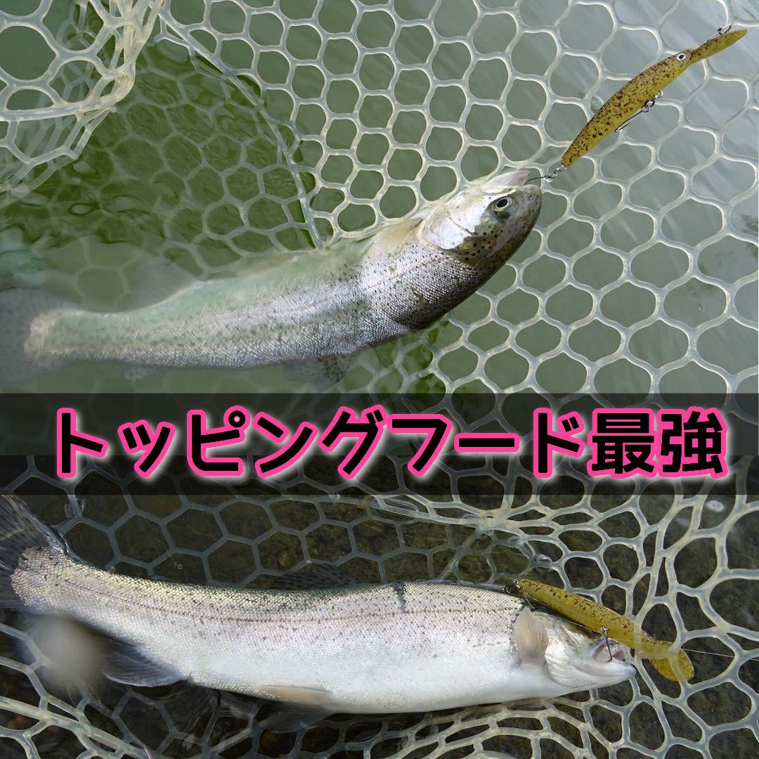 ダブルクラッチ 60F1　豪華５個セット　1091カラー　キャスティングオリカラ