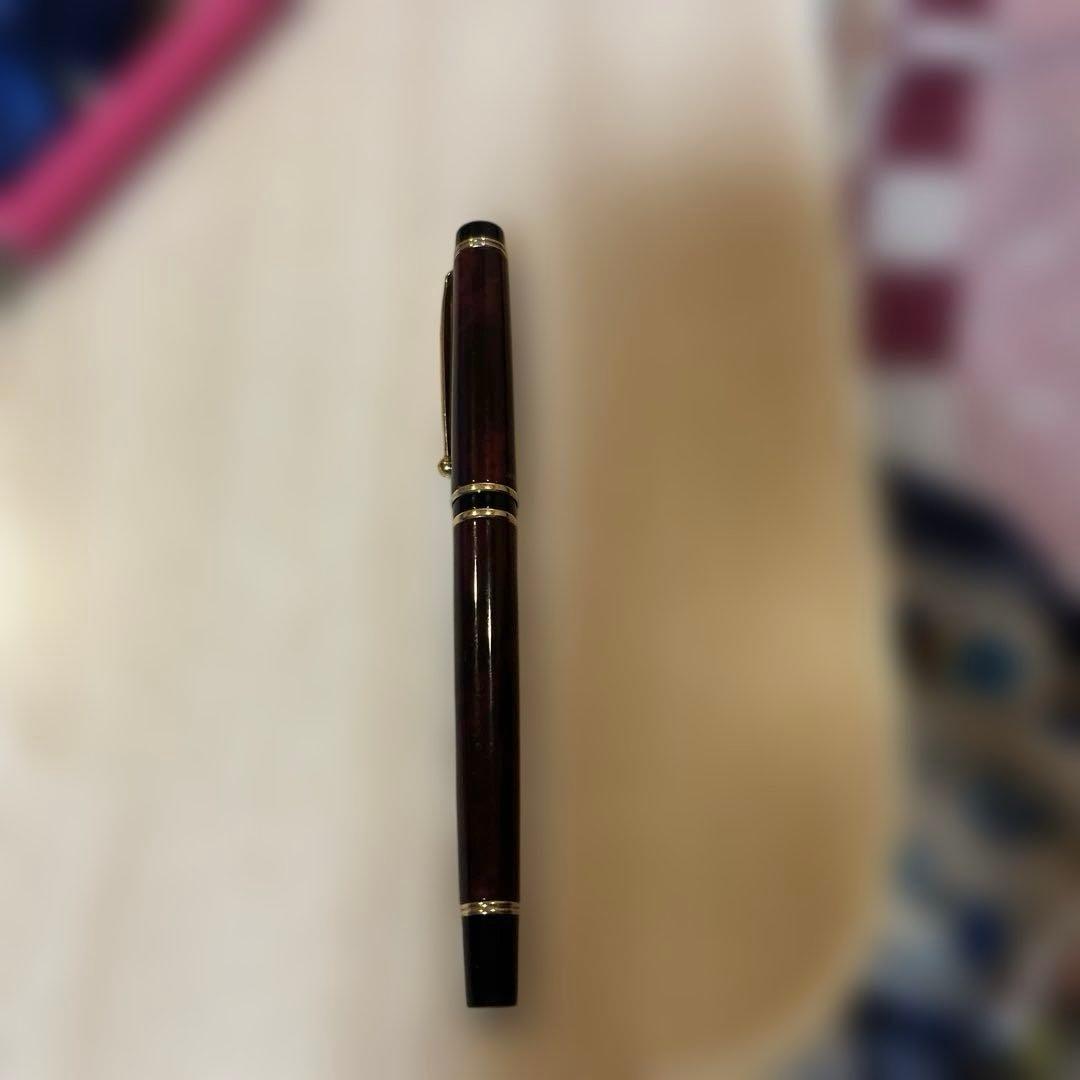 PILOT パイロット 万年筆　ペン先14K