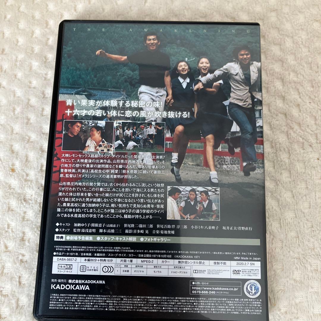 関根恵子 大映青春傑作選 DVD-BOX 3枚組 高橋惠子 高校生ブルース 他