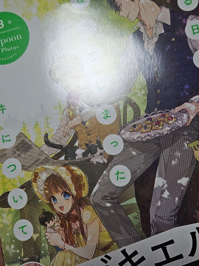 ある日、お姫様になってしまった件について　11巻セット