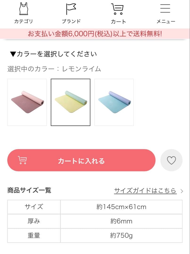 ヨガマット　ホットヨガLAVA ケース付き　SUKALA ピラ　 2/26削除