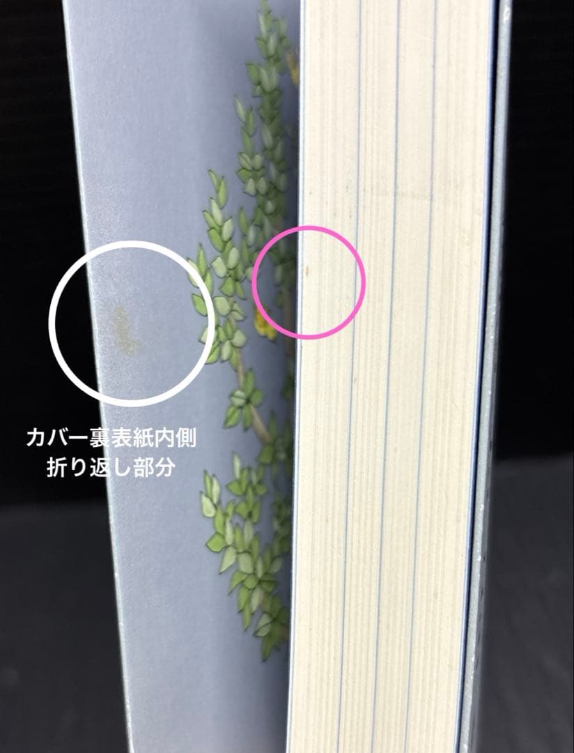 NANA 1-21巻 全巻 7.8巻 ご近所物語 天使なんかじゃない 全35冊