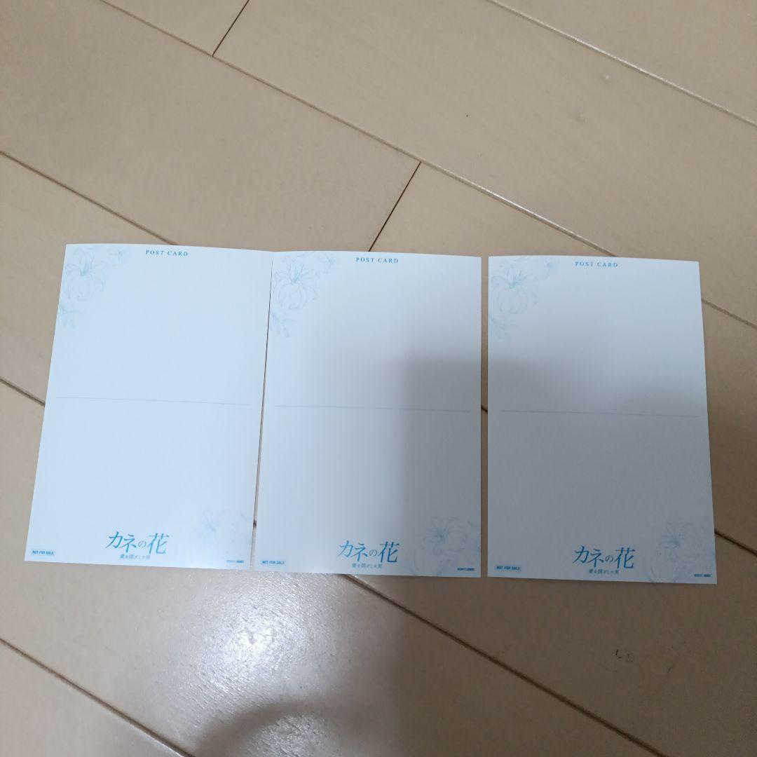 カネの花～愛を閉ざした男 DVD-BOX1.2