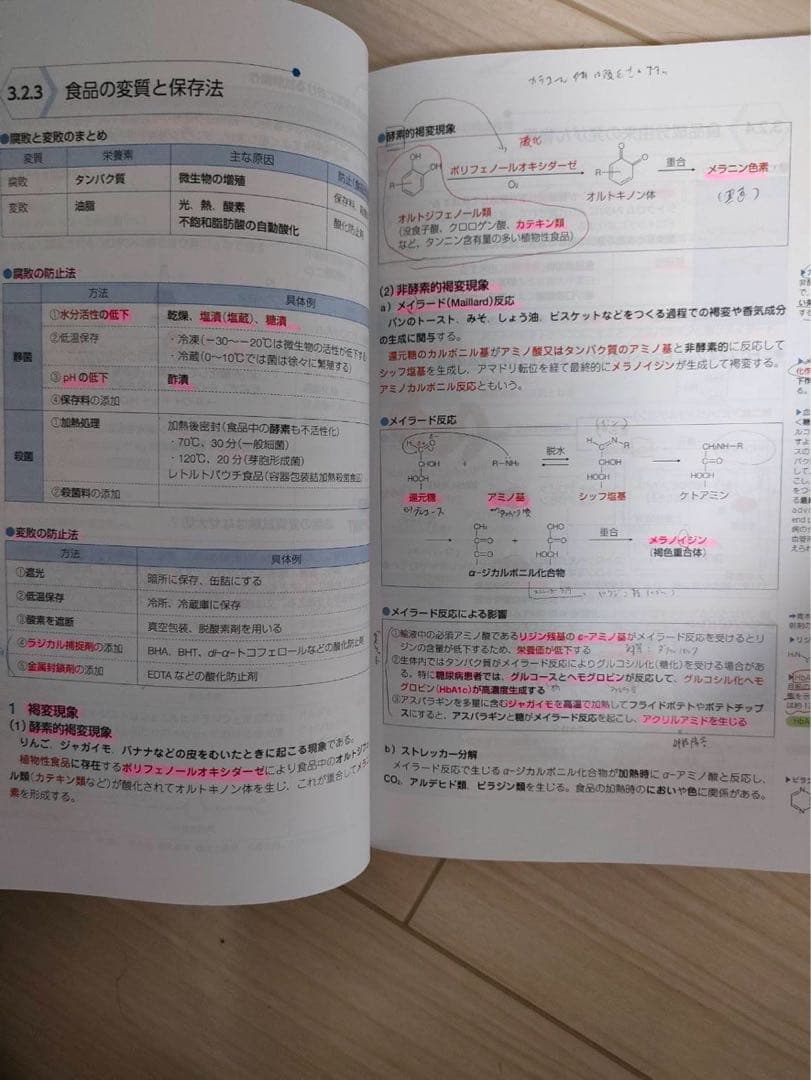 110回国試 青本青問フルセット＋模試解説書