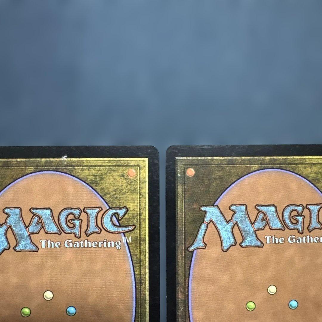 MTG 血染めのぬかるみ　英語版２枚セット