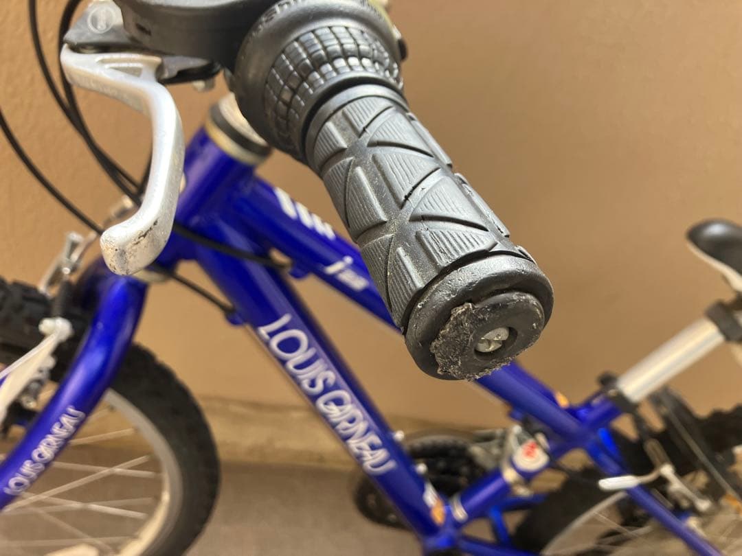 LOUIS GARNEAU 子供用マウンテンバイク 青22インチ京都市