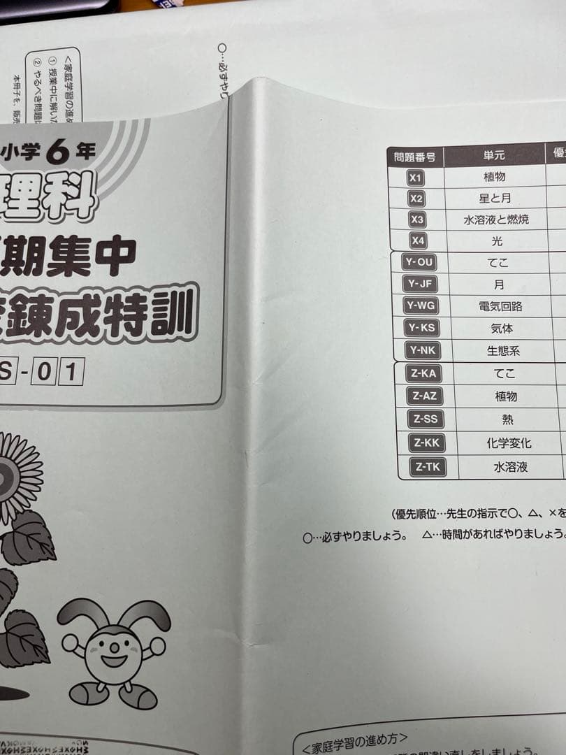 サピックス 6年 夏期集中志望校錬成特訓 国算理社　4科セット