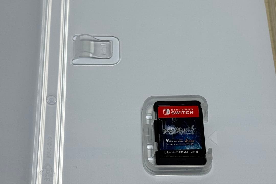 終遠のヴィルシュ Switch ゲームソフト(2本)