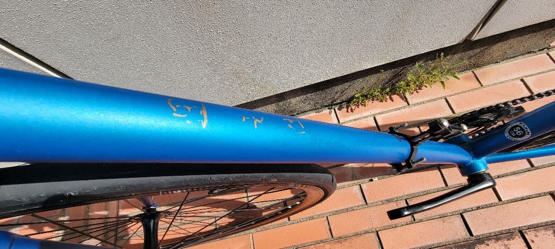 471　フジ FEATHER　2023年　Tranquil Blue　56cm