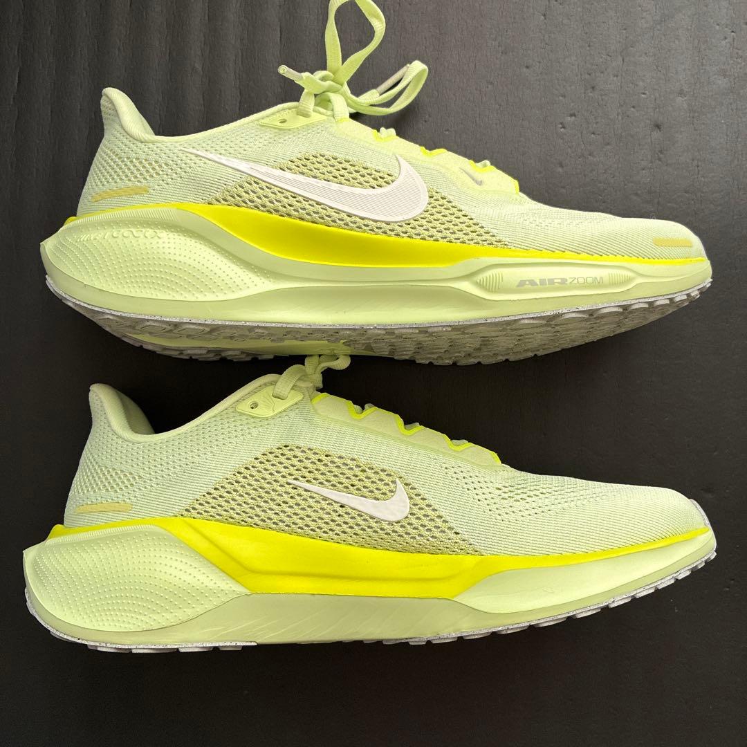 NIKE ペガサス41(ウィメンズ)26.0cm