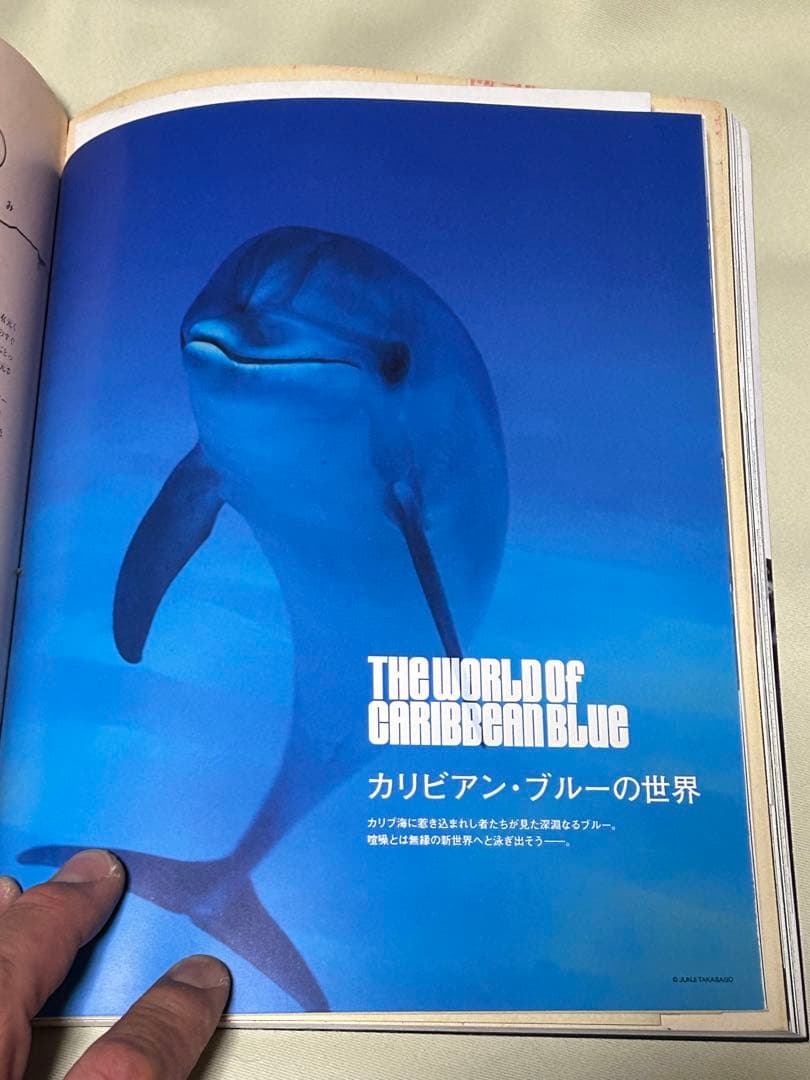TRANSIT トランジット 24号 美しきカリブの海へ キューバ/ジャマイカ他