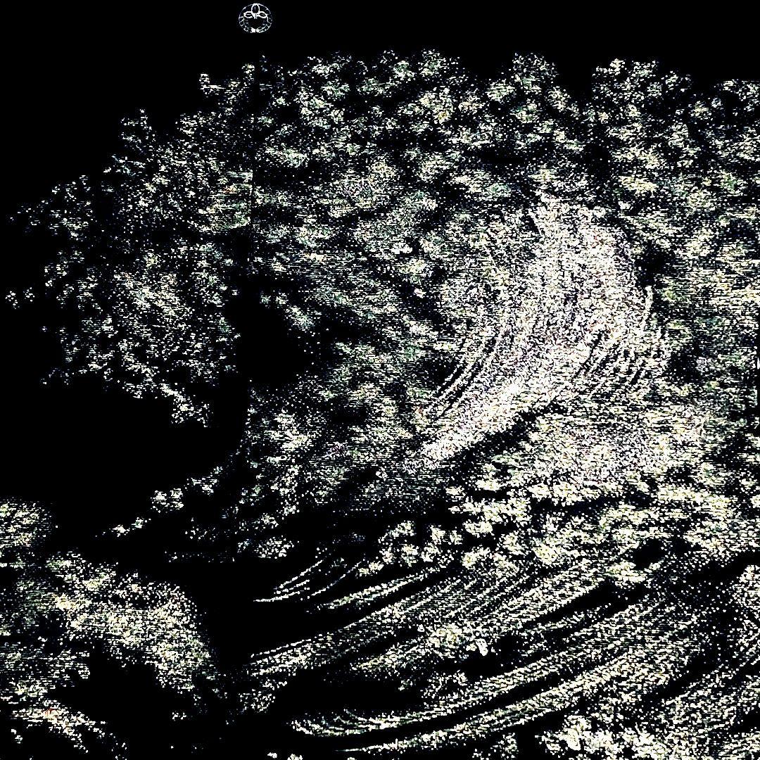 金彩 風景 黒絵羽織 ブラック 荒波 モード アート 古着 絵羽織 羽織 着物