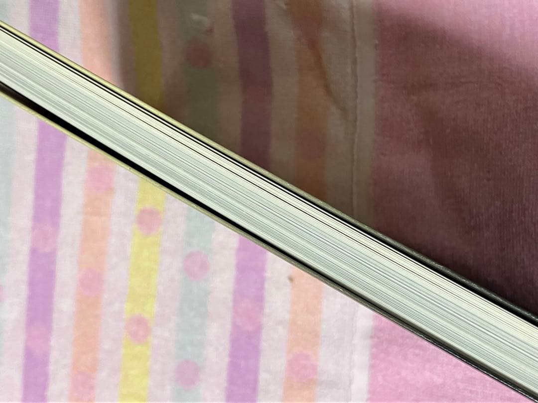 ◆最終価格　画集　絵画　芸術　アート　美術　図録　ロシア絵画　東ヨーロッパ　東欧