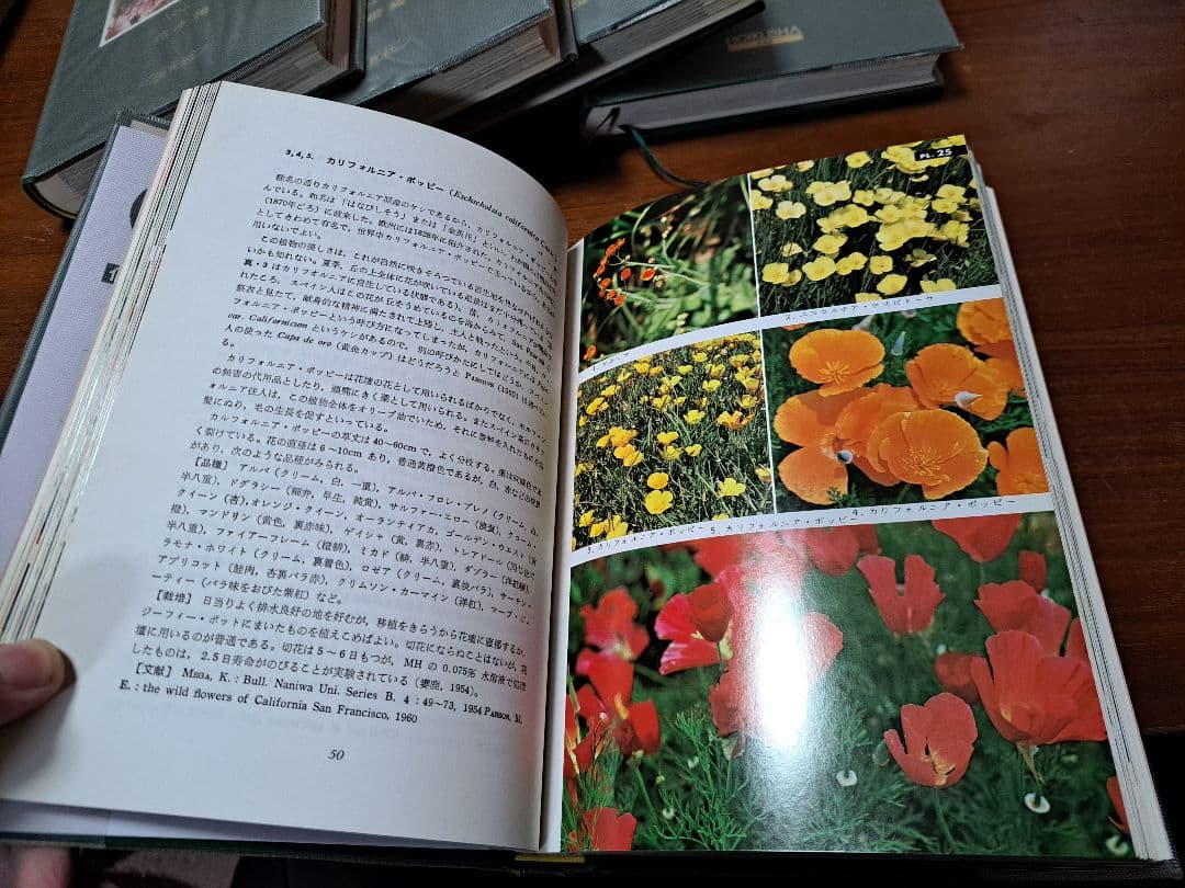 期間限定値下げ中！【絶版・希少】保育社 原色図鑑 【園芸植物】5冊セット