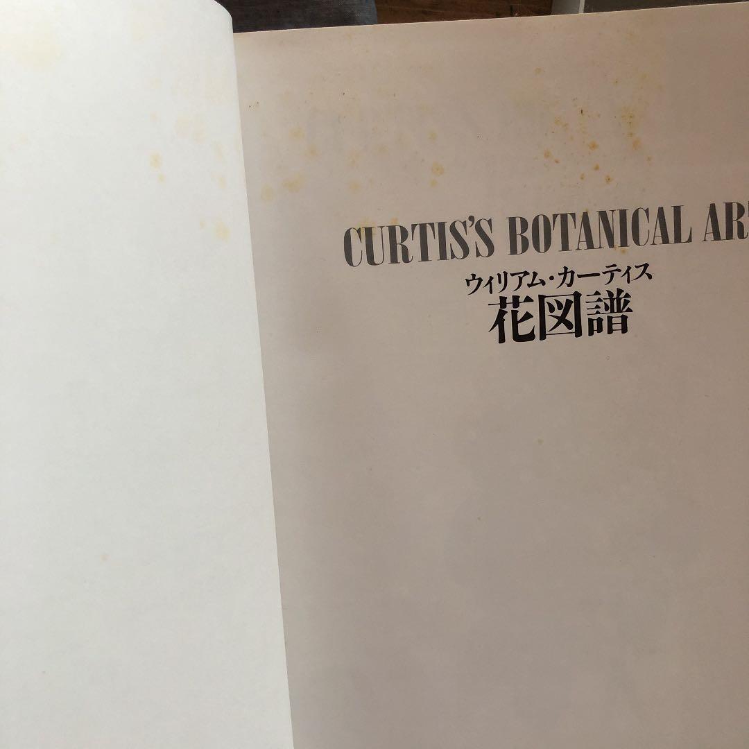 花図譜 :  ‹ カーティス・ボタニカル・マガジン › ベストセレクション