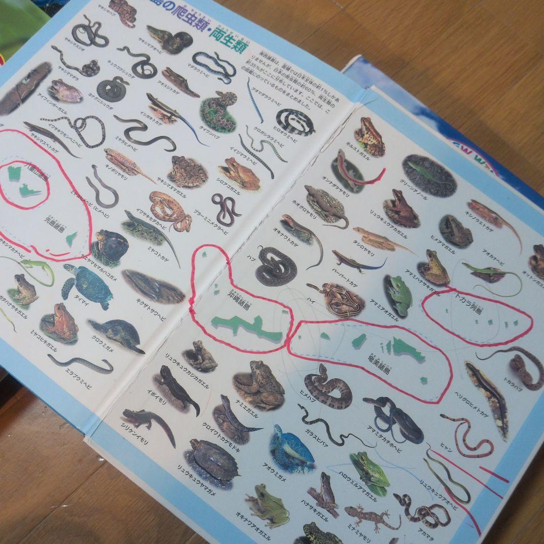 学研の図鑑　11冊