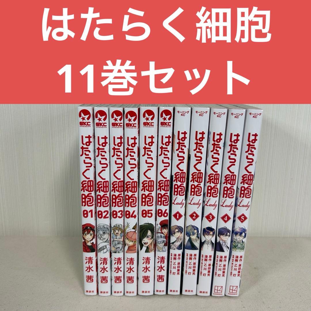 【美品】　はたらく細胞　はたらく細胞Lady 全巻セット