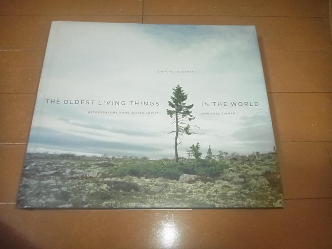 「The Oldest Living Things in the World」