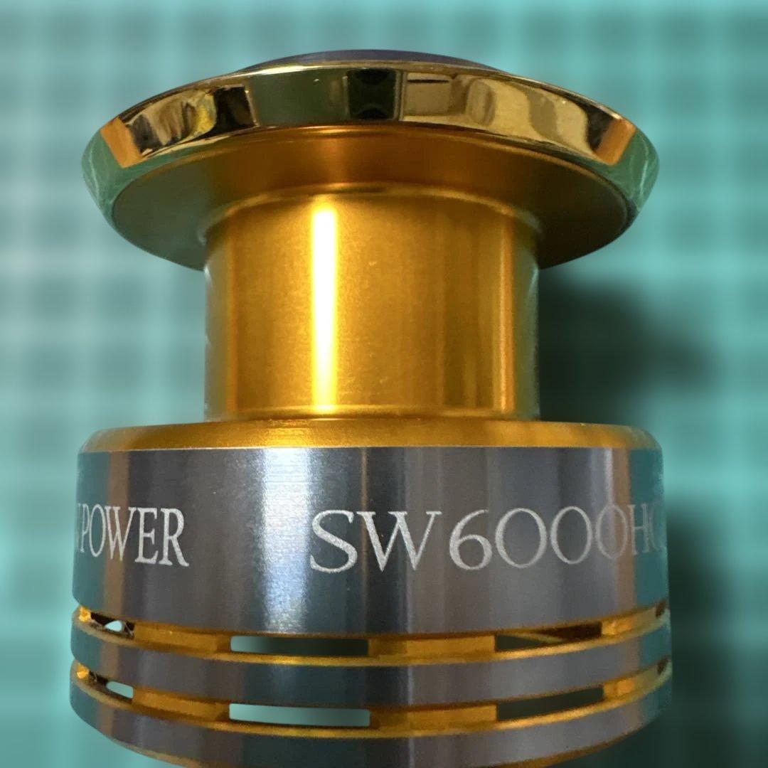 シマノ 09ツインパワーSW6000HG
