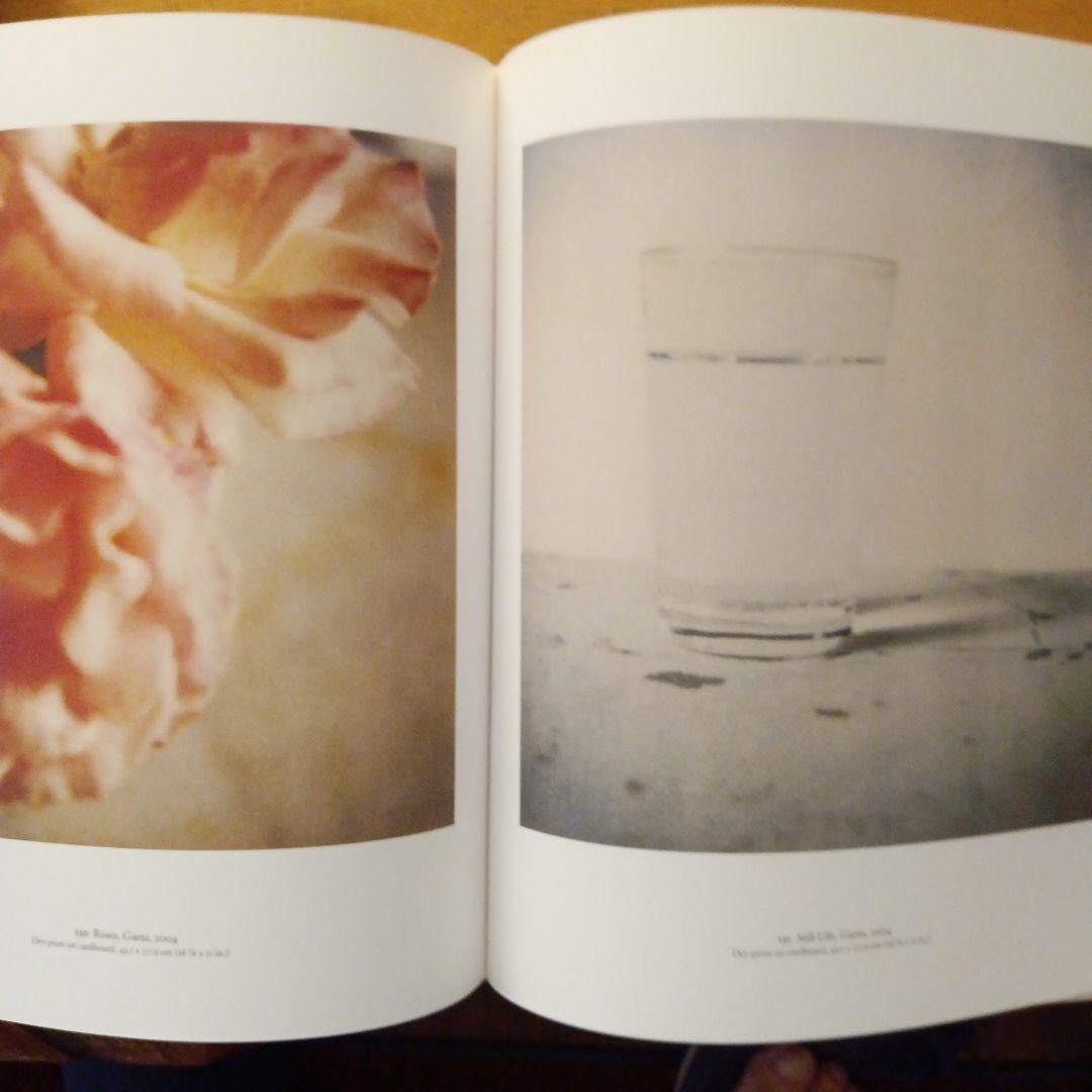 The Essential Cy Twombly　サイ・トゥオンブリー 画集