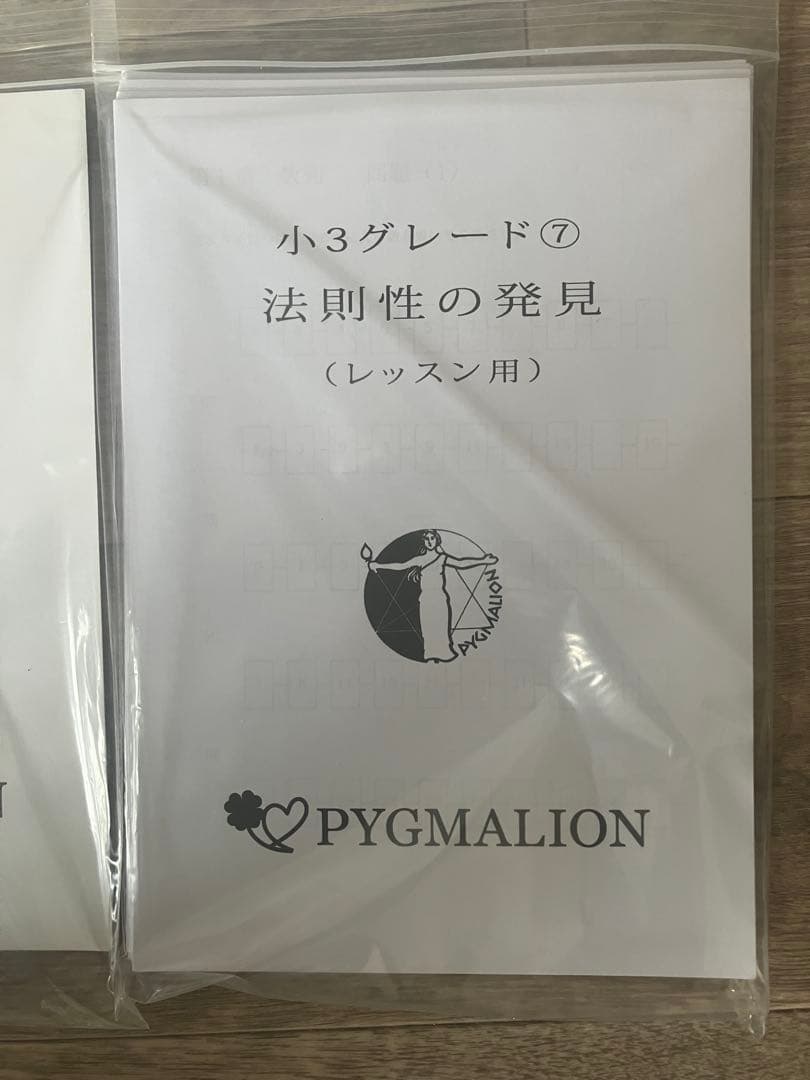 【美品・袋入】ピグマリオン グレード別10冊セット 図形の学習 分数 整数の性質