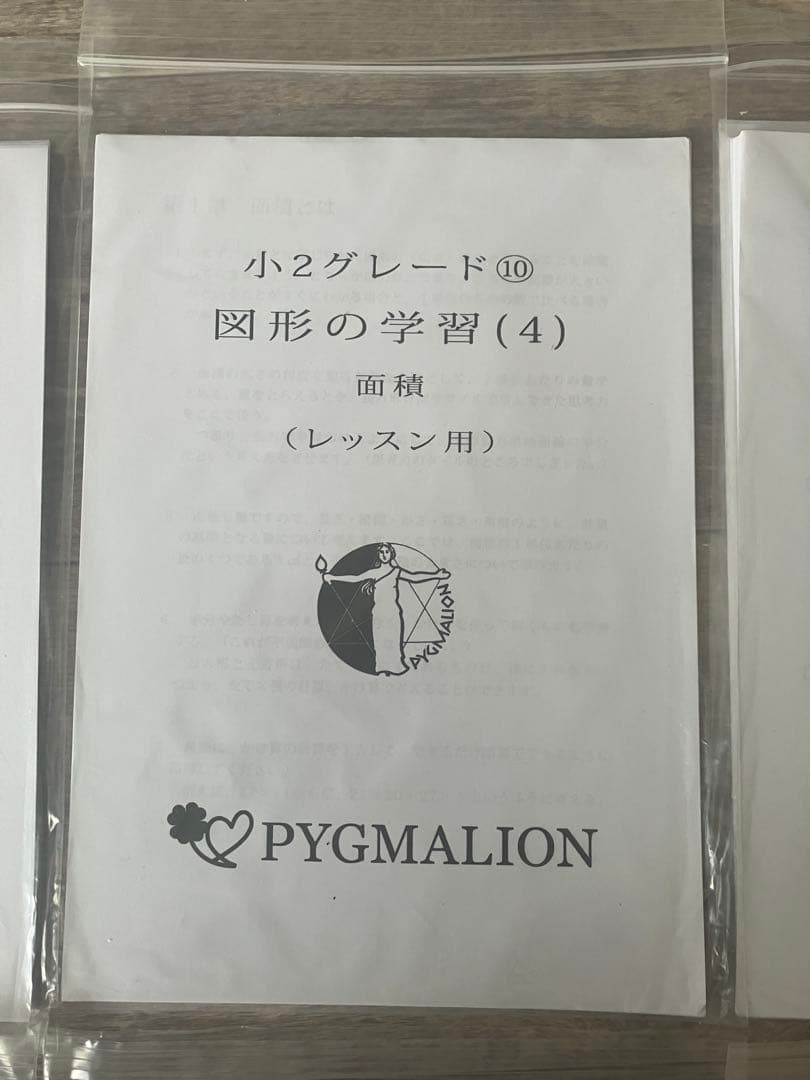 【美品・袋入】ピグマリオン グレード別10冊セット 図形の学習 分数 整数の性質