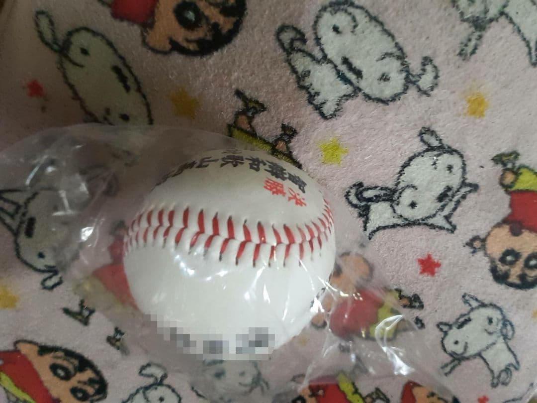 第103回　決勝　智辯和歌山　智辯学園　徳丸天晴　前川右京