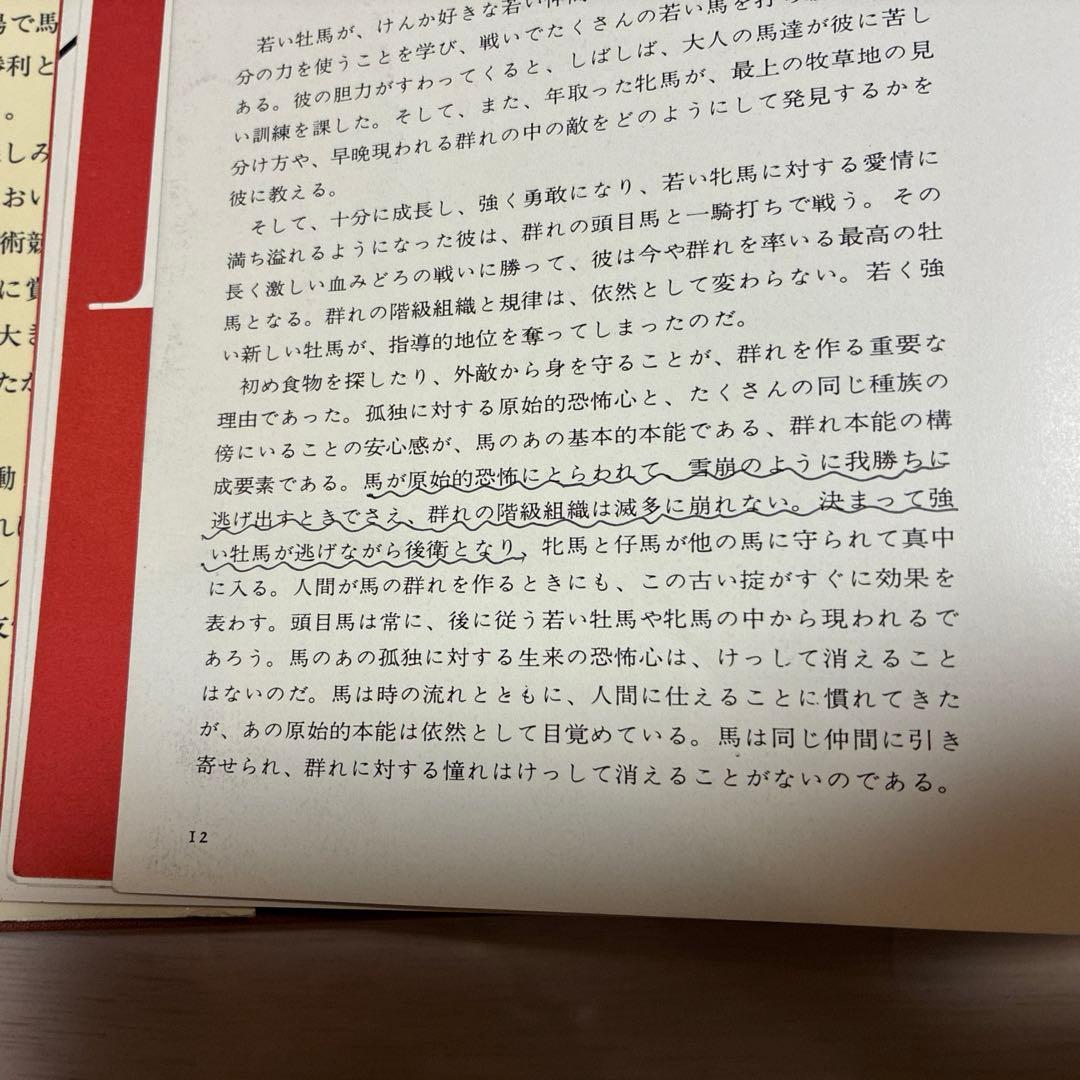THE KINGDOM OF THE HORSE 馬　本　レア　ヴィンテージ