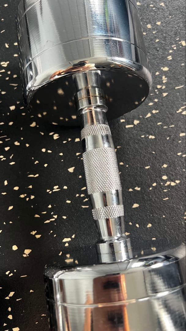 最終値下げ RITFIT ステンレスダンベル 12kg (2本)