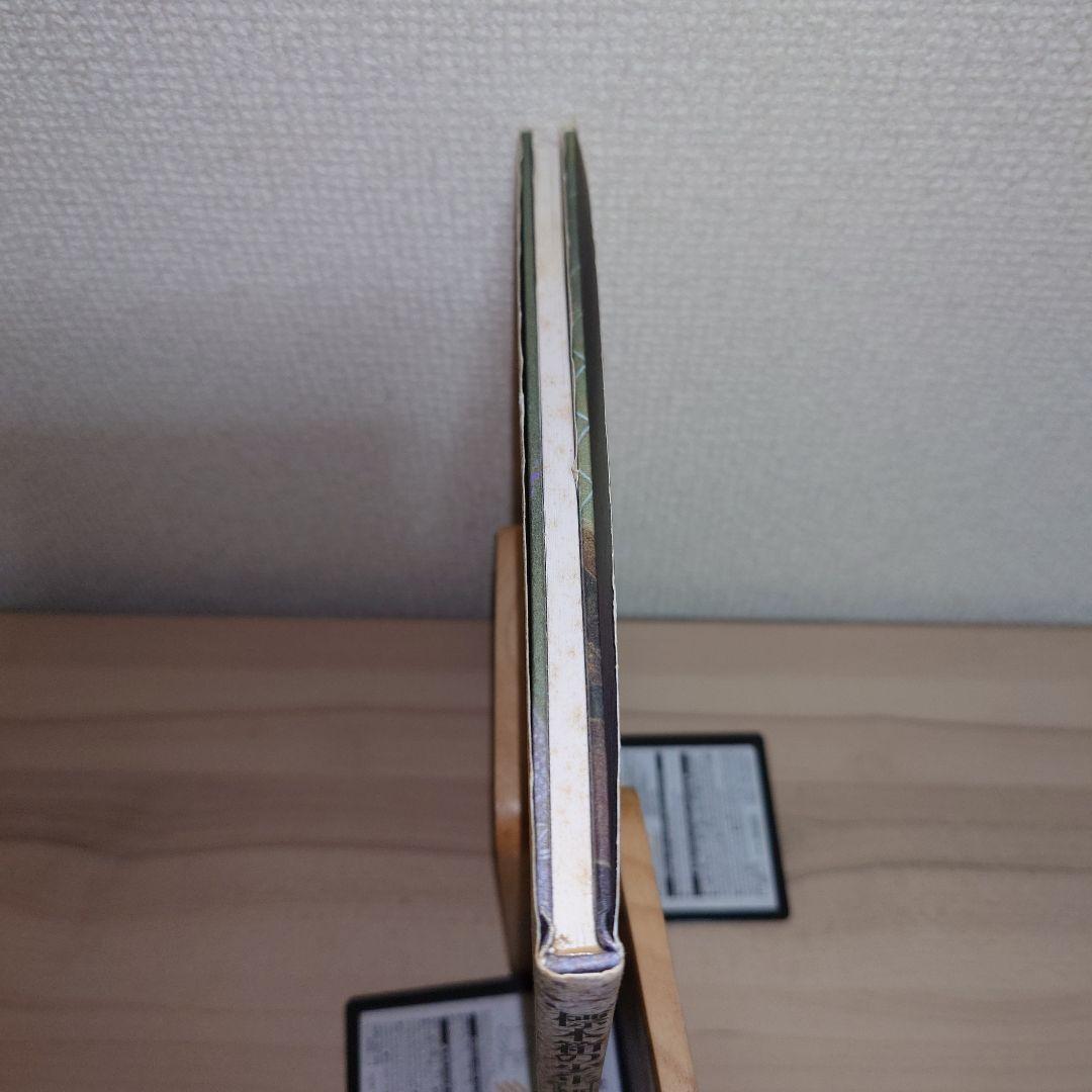 標本箱の少年 建石修志 画集