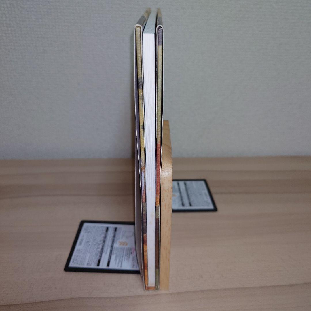 標本箱の少年 建石修志 画集