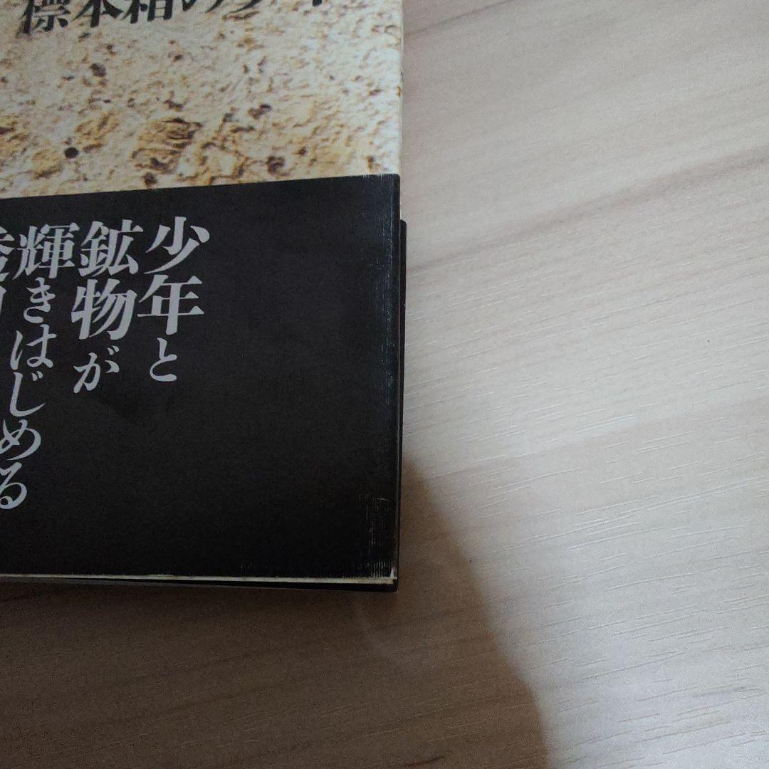 標本箱の少年 建石修志 画集