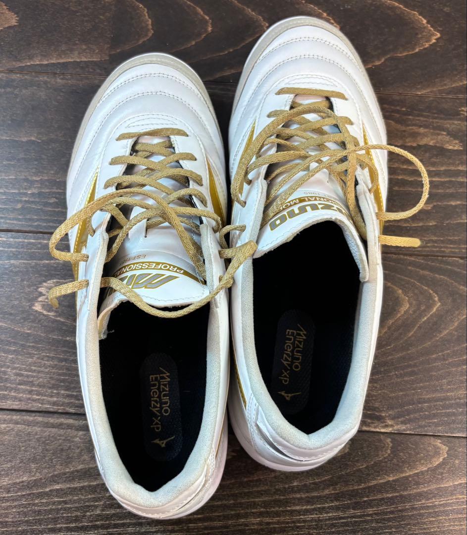 MORELIA SALA ELITE IN モレリア サラ エリート イン
