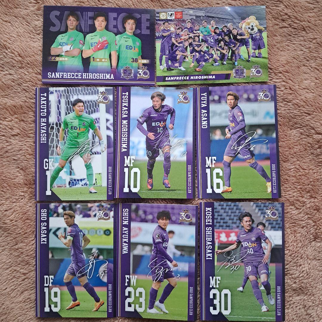 サンフレッチェ広島 クラブ会員限定カード+トレーディングカード カードケース付き