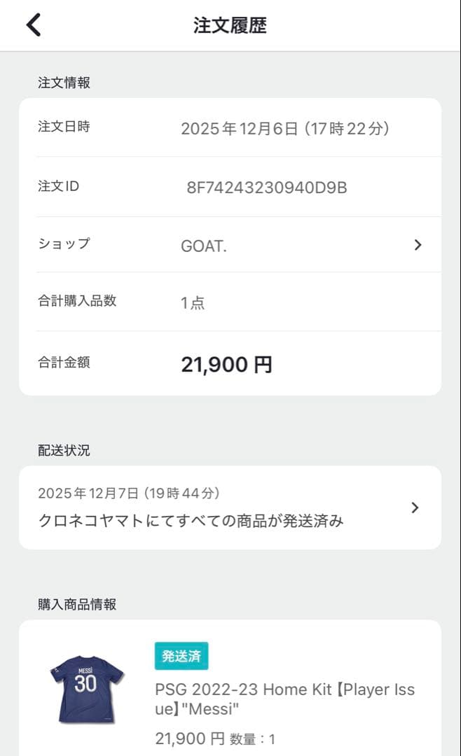 【正規品】 メッシ PSG 22/23 オーセンティック ホーム