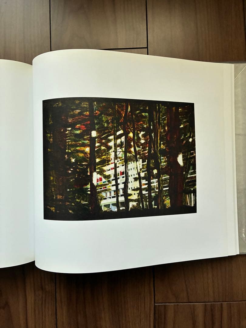 PETER DOIG 作品集