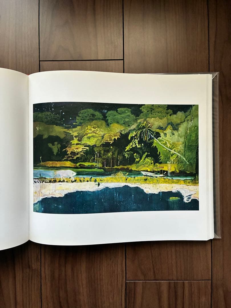 PETER DOIG 作品集