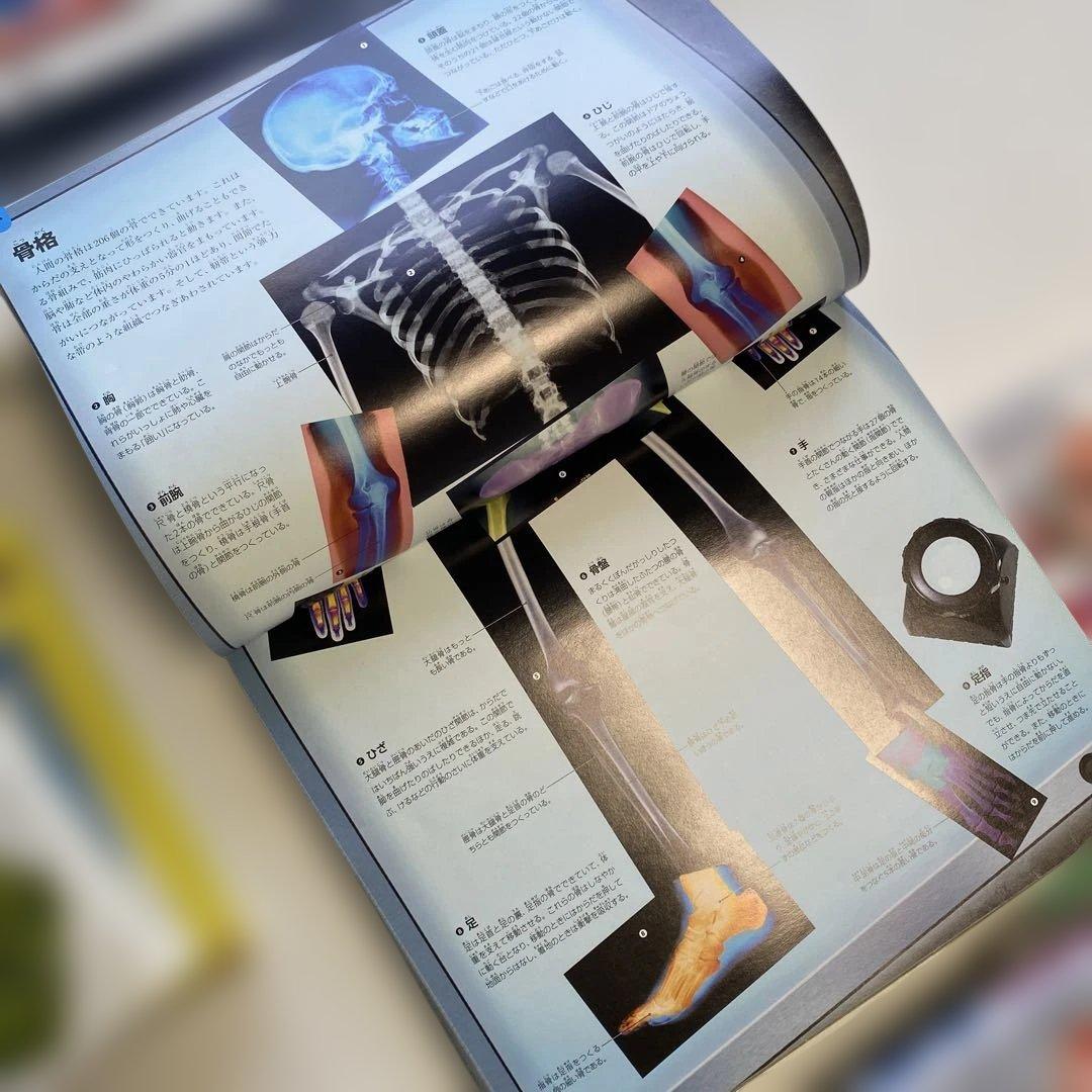 【美品】図鑑　科学の読み物12冊セット定価28000円分